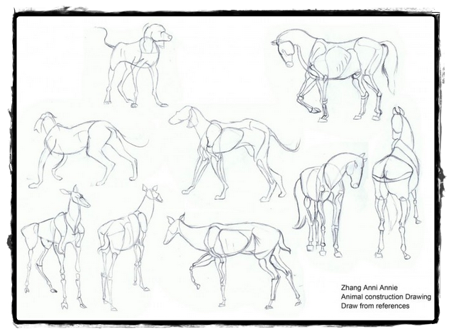 25 belos desenhos de animais para a sua inspiração 10