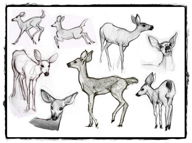 25 belos desenhos de animais para a sua inspiração 3