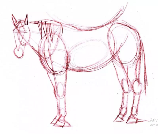 Featured image of post Cara De Cavalo Desenho Colorido Confira aqui a mais completa cole o de desenhos para colorir de cavalos