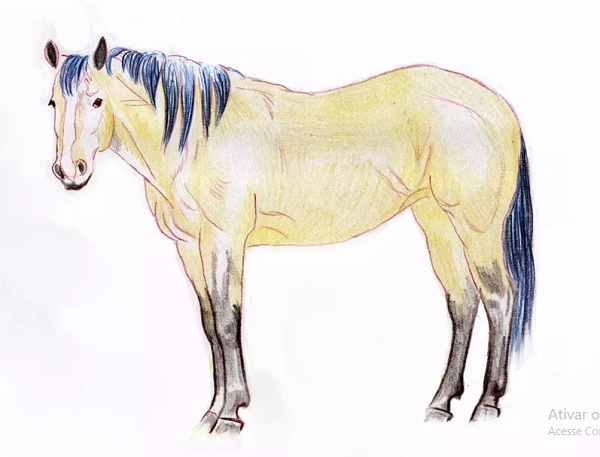 Featured image of post Cavalo Desenho Facil Para Desenhar Como desenhar narizes v deo reviewed by lindos desenhos para pintar on 18 04 rating