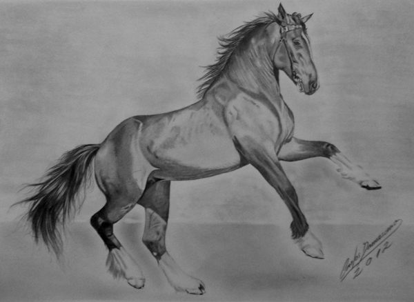 Desenho realista artístico de cavalos no grafite