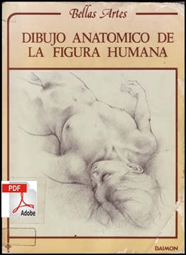 DIBUJO ANATOMICO DA FIGURA HUMANA