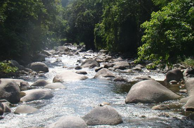 riacho na mata