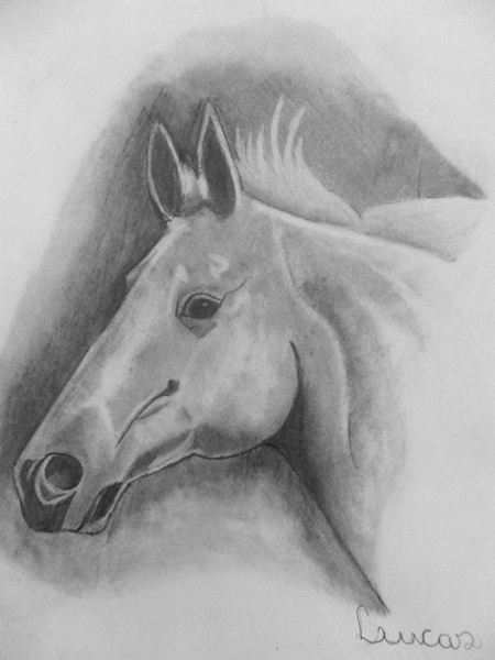 DESENHO DE LUCAS