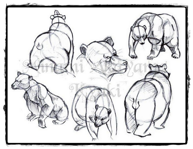 25 belos desenhos de animais para a sua inspiração - Como desenhar animais  - Desenhos Realistas