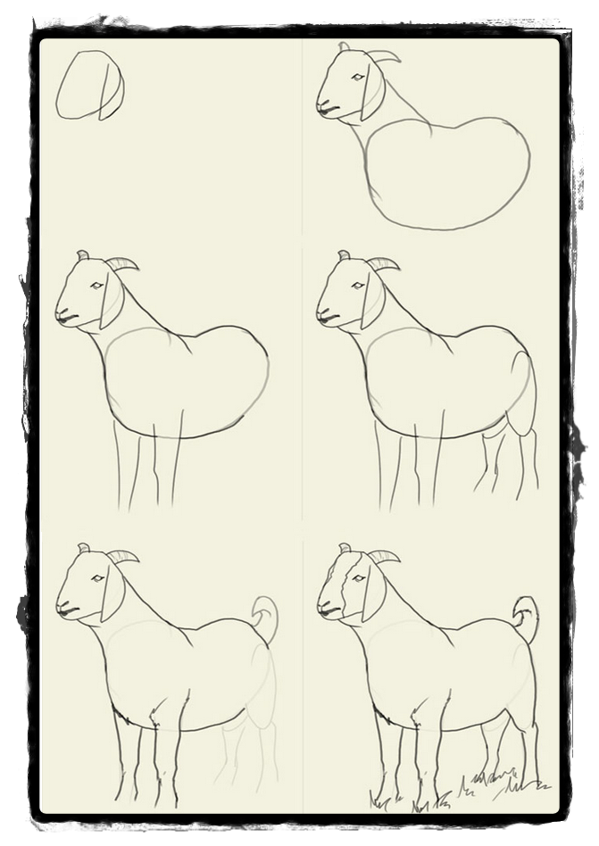 Desenhos de animais