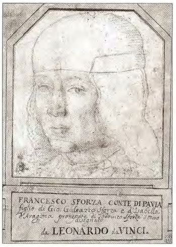 Estudo do rosto de Francesco Sforza.