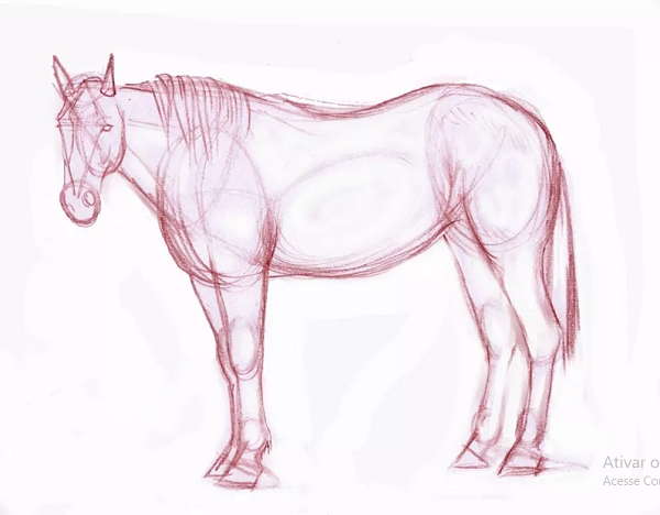 Como desenhar um cavalo realista de pé