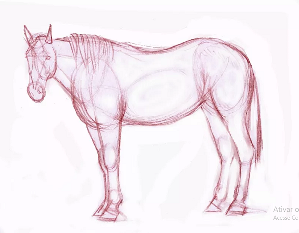 How-To-Draw-Horses  Drawing lessons, Cavalo desenho, Cavalos