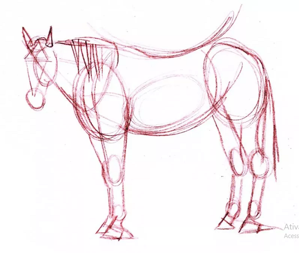 Como desenhar um cavalo com lápis de cor