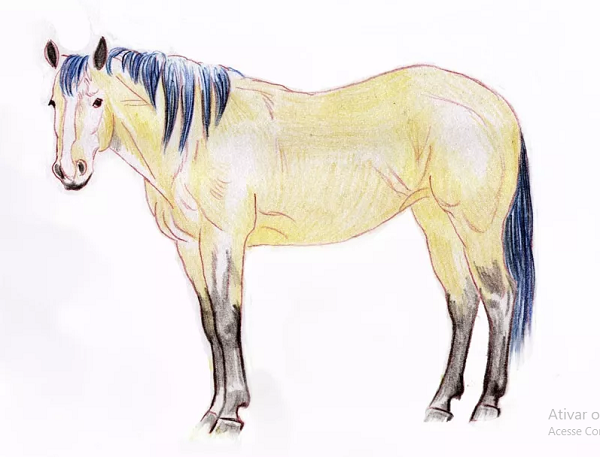 Como Desenhar Da Natureza O Desenho De Cavalo Em Pé Criação Passo a Passo  De Desenho De Lápis Página Educativa Para Artistas Ilustração do Vetor -  Ilustração de cavalo, preto: 166402861