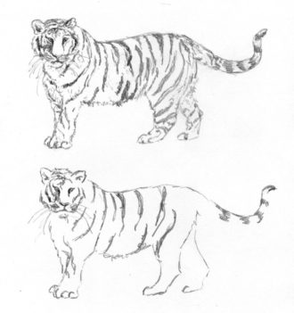 Desenho de Tigre com Detalhes