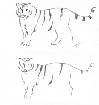 Desenho de Tigre simplificado
