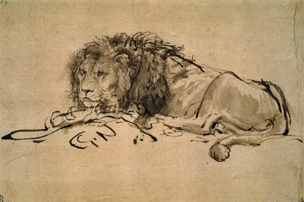 Rembrandt, esboço de um leão. Tinta no papel