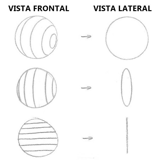 Lição 3 Indo do 2D para o 3D - USANDO LINHAS DE CONTORNO - VISTA FRONTAL X VISTA LATERAL