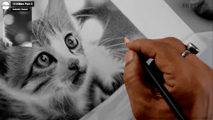 Desenhando um gato de forma realista – Blog da AreaE