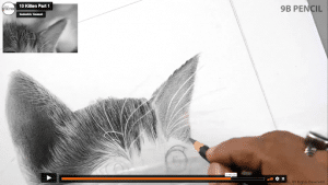 Como Desenhar um Gato - Esboço de um desenho de um Gato - Desenhos Realistas