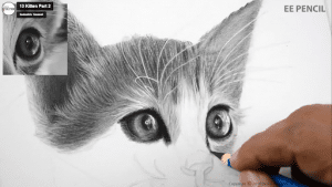 Como Desenhar um Gato - Esboço de um desenho de um Gato - Desenhos Realistas