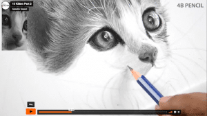 Desenhando um gato de forma realista – Blog da AreaE