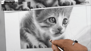 Desenhando um gato de forma realista – Blog da AreaE