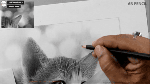 Desenhando um gato de forma realista – Blog da AreaE